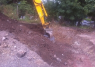 Excavation of infested soil and removal